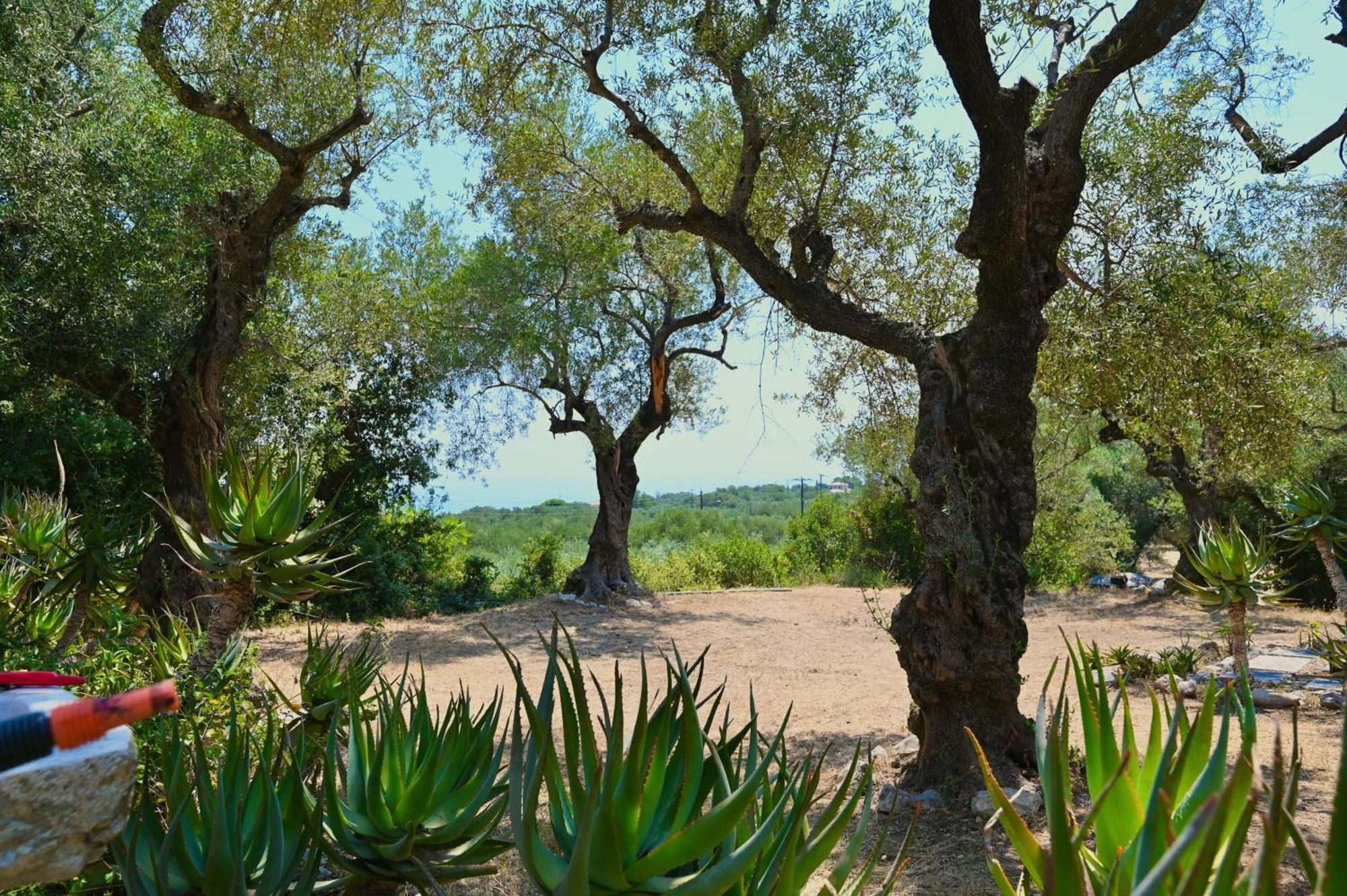 Robin Hood Holiday home Akrotiri (Zakynthos)