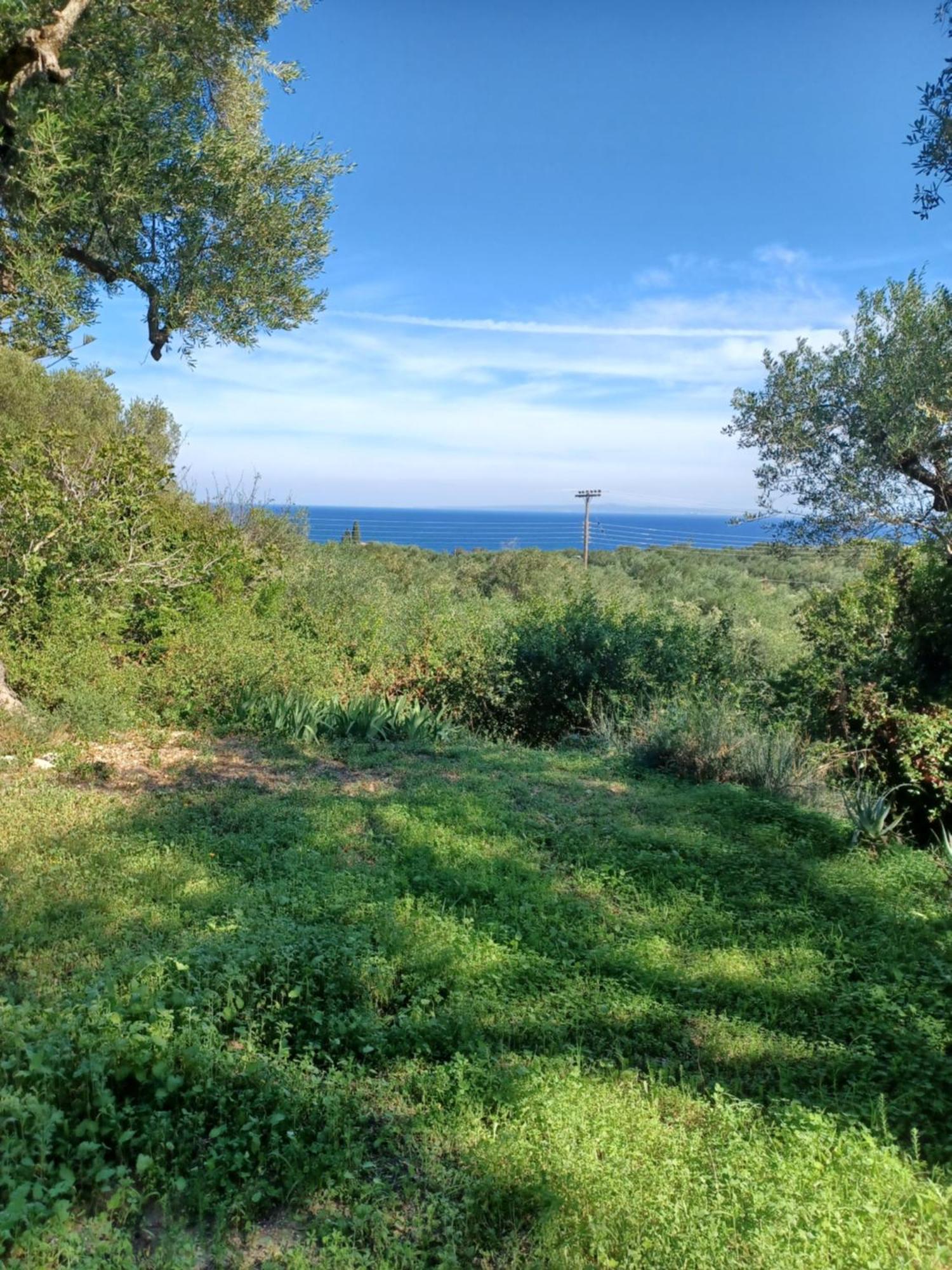 Robin Hood Holiday home Akrotiri (Zakynthos)