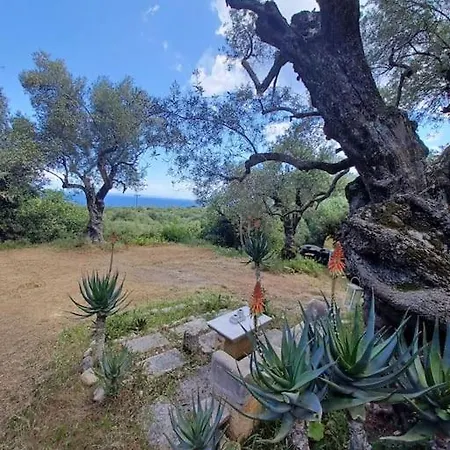 Robin Hood Villa Akrotiri  Exterior photo