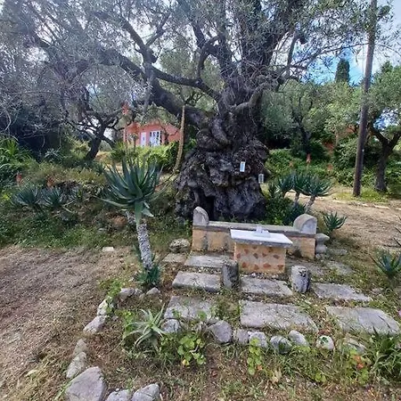 Robin Hood Villa Akrotiri  Exterior photo