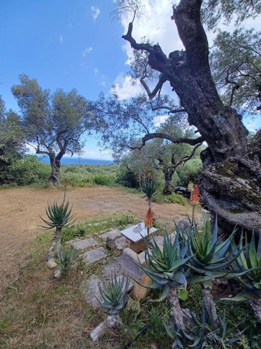 Robin Hood Casa vacanze
