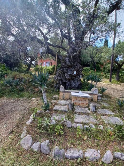 Robin Hood Casa vacanze Akrotiri (Zakynthos)
