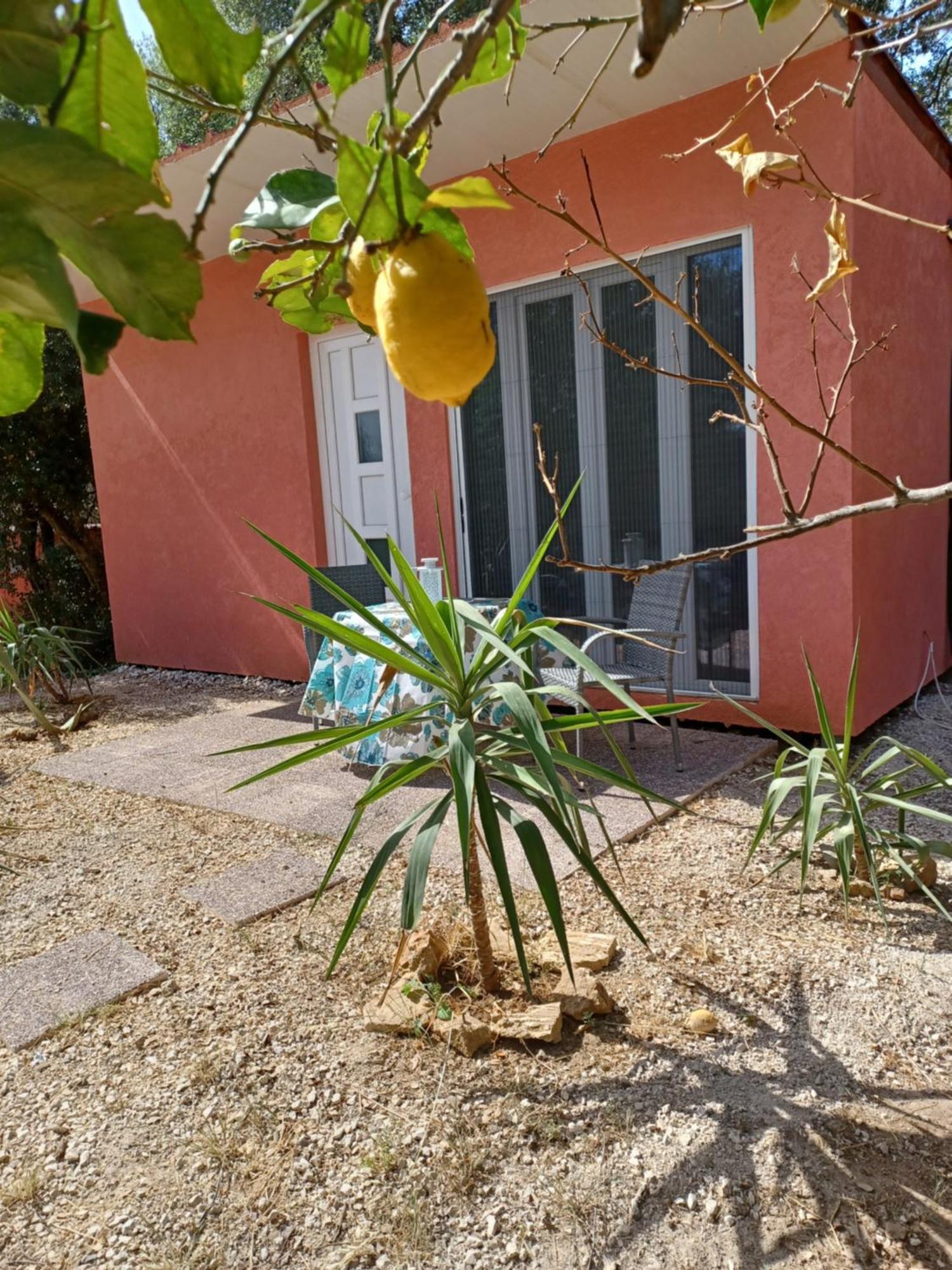 Casa vacanze Robin Hood *