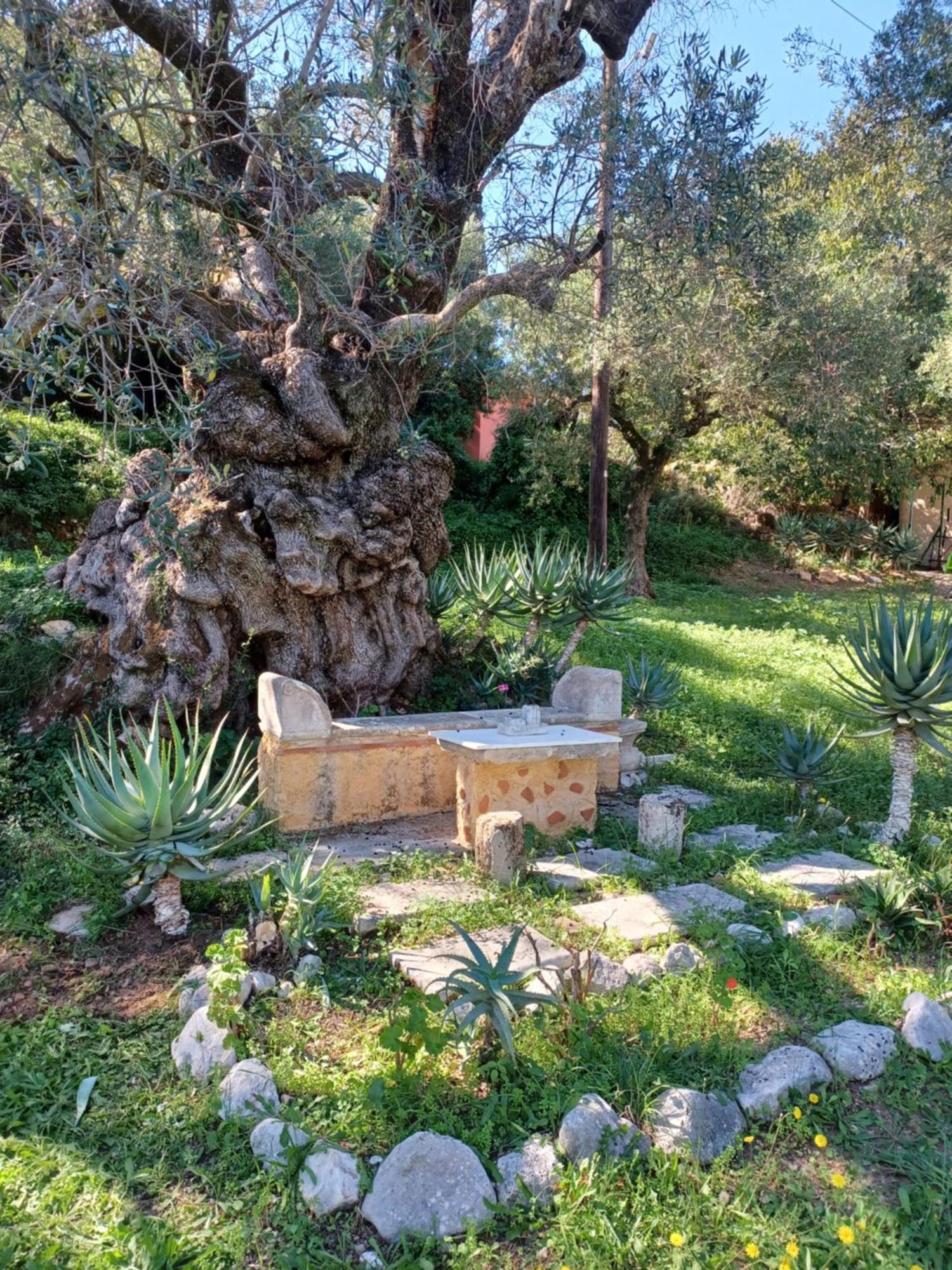 Robin Hood Akrotiri (Zakynthos)