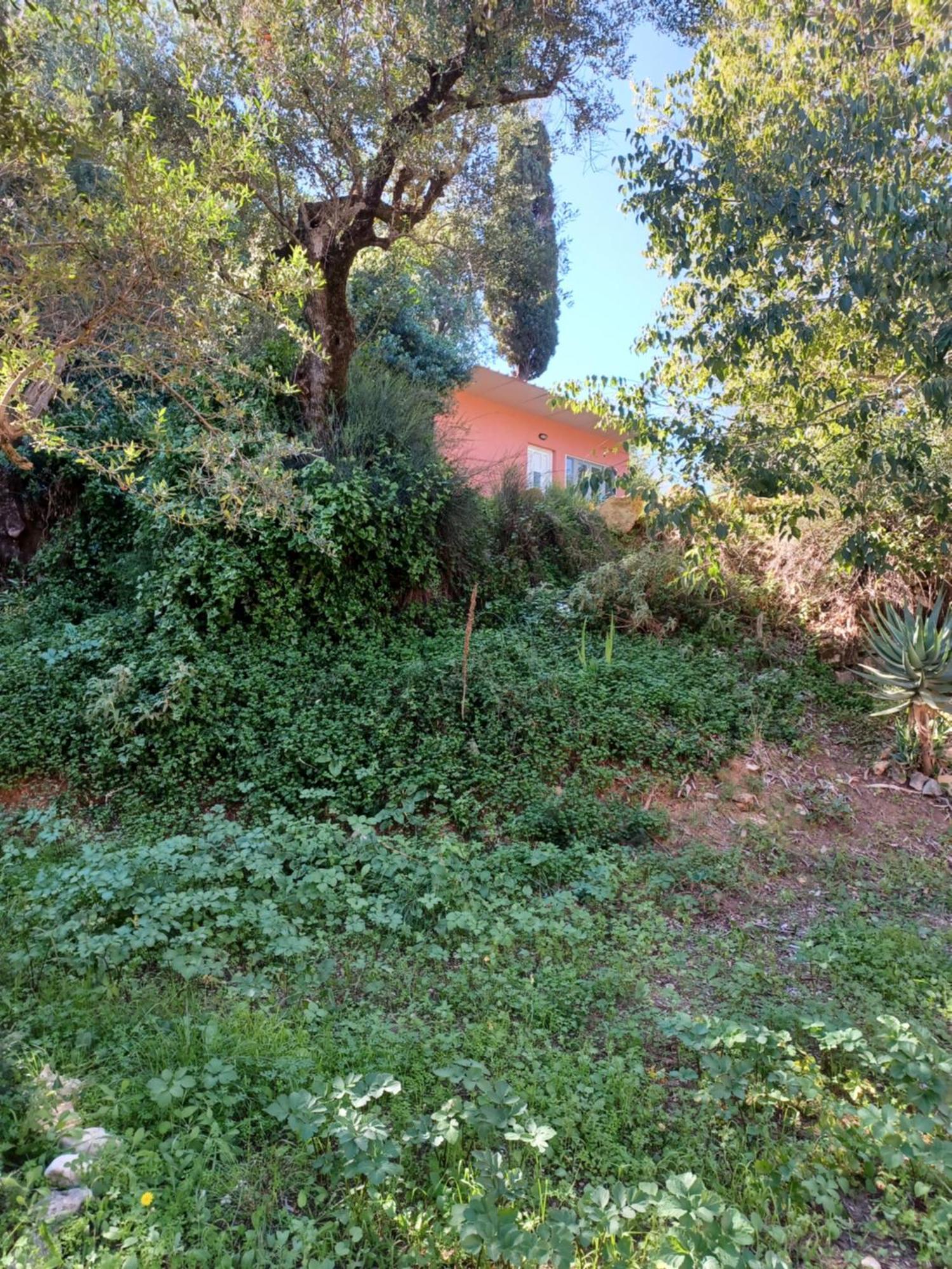 Casa vacanze Robin Hood *